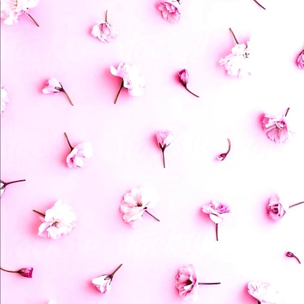 ๐ธ๐ธ๐ธ - Picture 1 of 1